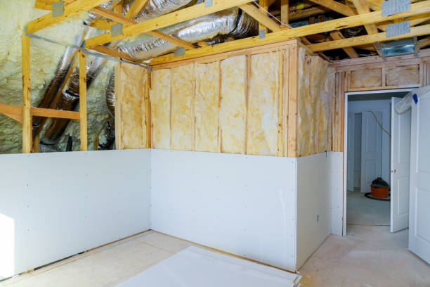 Best Insulation Installation Services in Duluth, MN