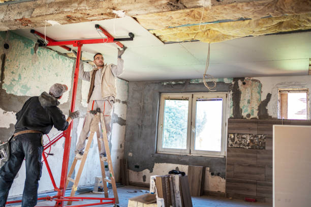 Best Residential Insulation in Duluth, MN