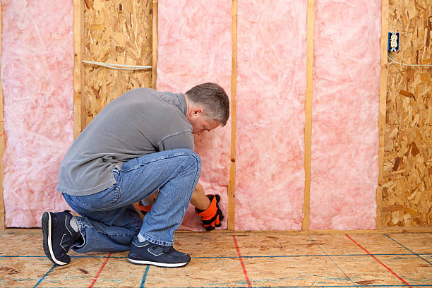Best Types of Insulation in Duluth, MN