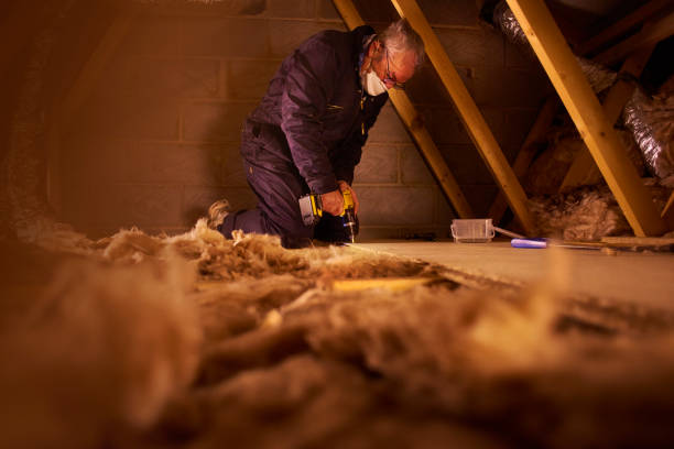 Best Insulation Installation Services in Duluth, MN